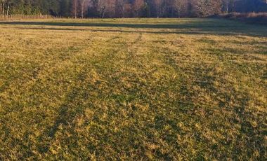 TERRENO DE 6 HECTÁREAS EN PAILLAO, VALDIVIA REGIÓN DE LOS RIOS.