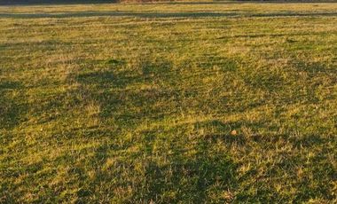TERRENO DE 6 HECTÁREAS EN PAILLAO, VALDIVIA REGIÓN DE LOS RIOS.