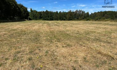 TERRENO DE 6 HECTÁREAS EN PAILLAO, VALDIVIA REGIÓN DE LOS RIOS.