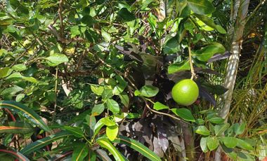 CABAÑA AMOBLADA CON PISCINA,HERMOSA VISTA EN MINCA SANTA MARTA.