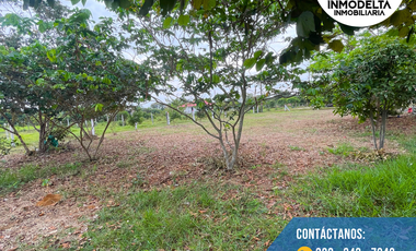 LOTE GRANDE A LA VENTA EN EL SECTOR EL TRIUNFO ACACIAS META