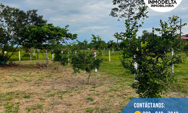 LOTE GRANDE A LA VENTA EN EL SECTOR EL TRIUNFO ACACIAS META