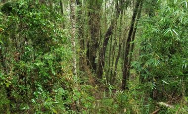 3 Ultimas Parcelas Ecológicas Los Coigües
