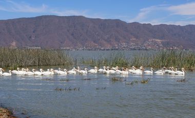 Departamento en venta en la Ribera de Chapala