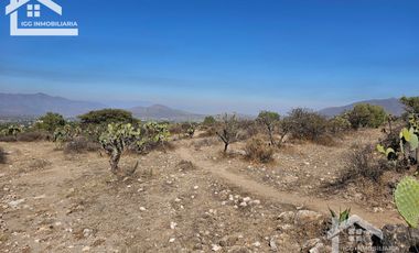 TERRENO EN SAN AGUSTIN TLAXIACA $167 el m2