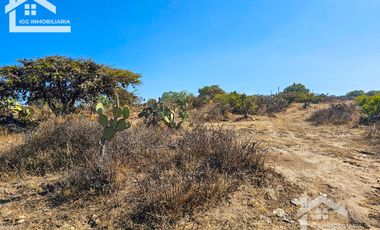 TERRENO EN SAN AGUSTIN TLAXIACA $167 el m2