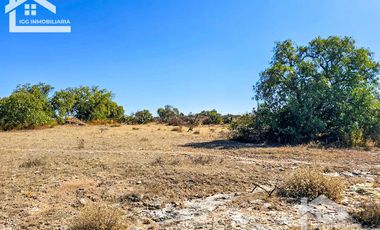 TERRENO EN SAN AGUSTIN TLAXIACA $167 el m2