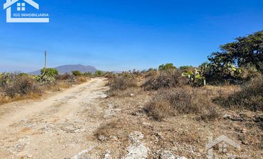 TERRENO EN SAN AGUSTIN TLAXIACA $167 el m2