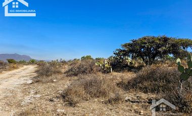 TERRENO EN SAN AGUSTIN TLAXIACA $167 el m2