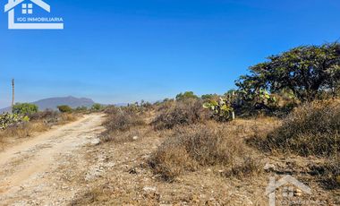 TERRENO EN SAN AGUSTIN TLAXIACA $167 el m2