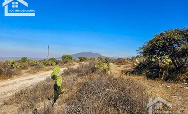 TERRENO EN SAN AGUSTIN TLAXIACA $167 el m2