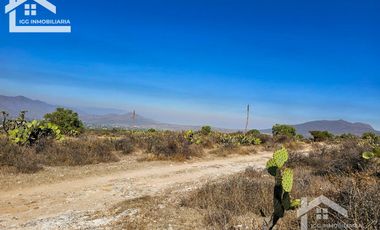 TERRENO EN SAN AGUSTIN TLAXIACA $167 el m2