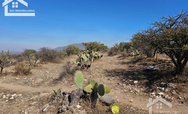 TERRENO EN SAN AGUSTIN TLAXIACA $167 el m2