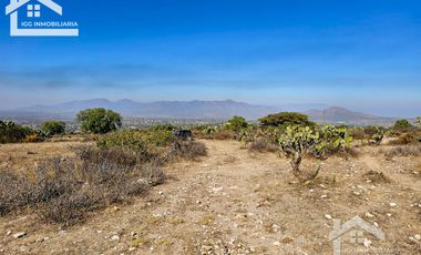 TERRENO EN SAN AGUSTIN TLAXIACA $167 el m2