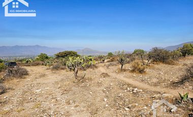 TERRENO EN SAN AGUSTIN TLAXIACA $167 el m2