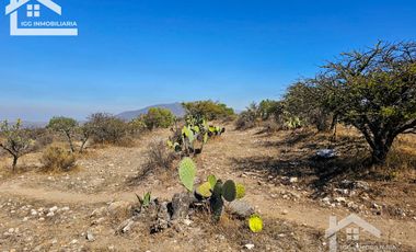 TERRENO EN SAN AGUSTIN TLAXIACA $167 el m2
