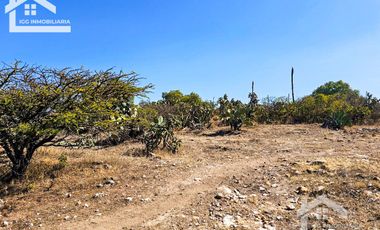 TERRENO EN SAN AGUSTIN TLAXIACA $167 el m2