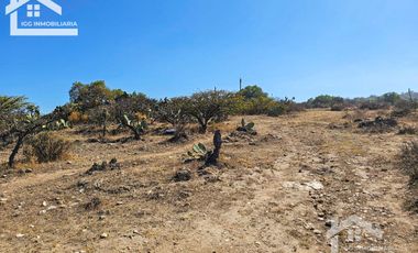 TERRENO EN SAN AGUSTIN TLAXIACA $167 el m2
