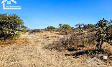 TERRENO EN SAN AGUSTIN TLAXIACA $167 el m2