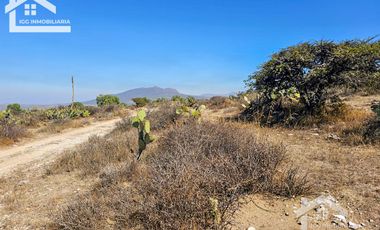 TERRENO EN SAN AGUSTIN TLAXIACA $167 el m2