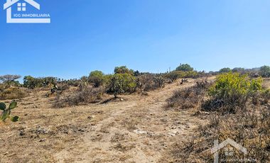 TERRENO EN SAN AGUSTIN TLAXIACA $167 el m2