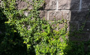 CASA EN VENTA. SAN PEDRO CHOLULA, PUEBLA.