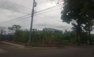 341 Sqm Corner Lot for SALE in Savannah Green Plains Subdivision Angeles City near CLARK