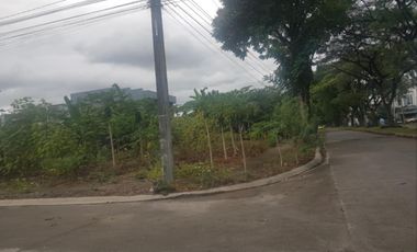 341 Sqm Corner Lot for SALE in Savannah Green Plains Subdivision Angeles City near CLARK