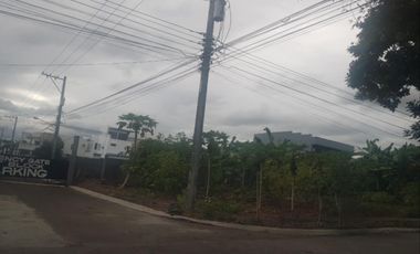 341 Sqm Corner Lot for SALE in Savannah Green Plains Subdivision Angeles City near CLARK