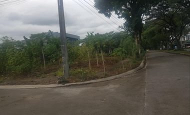 341 Sqm Corner Lot for SALE in Savannah Green Plains Subdivision Angeles City near CLARK