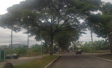 341 Sqm Corner Lot for SALE in Savannah Green Plains Subdivision Angeles City near CLARK