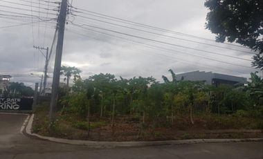 341 Sqm Corner Lot for SALE in Savannah Green Plains Subdivision Angeles City near CLARK