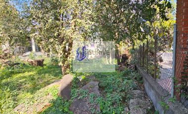 Terreno EN RENTA Carretera Nacional Santiago NL