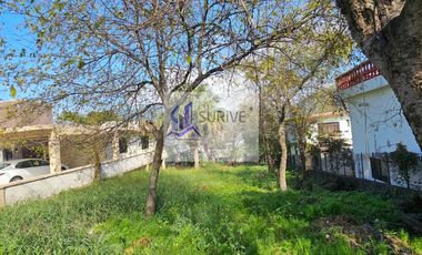 Terreno EN RENTA Carretera Nacional Santiago NL