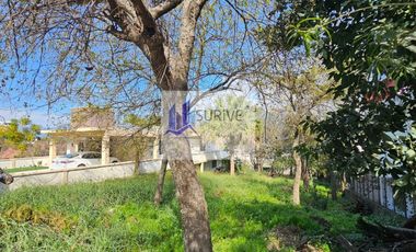 Terreno EN RENTA Carretera Nacional Santiago NL