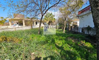 Terreno EN RENTA Carretera Nacional Santiago NL