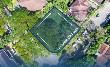 Prime Corner lot for Sale in Ayala Alabang Village Muntinlupa City