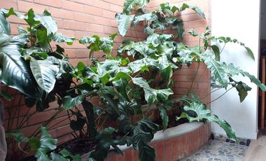 Casa en arriendo en Envigado, Antioquia