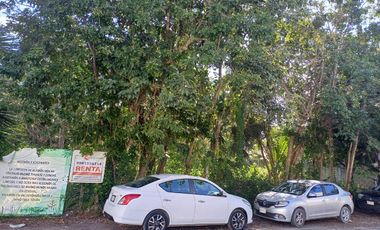 TERRENO EN ESQUINA EN RENTA EN ALAMOS 1 A MEDIA CUADRA DE HUAYACAN, ATRAS DE GROUPERS $40,000