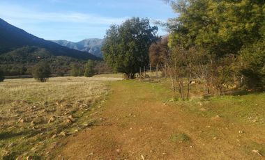 PREDIO 43 HAS EN COLLIGUAY CON CASA