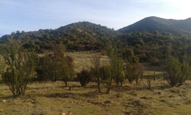 PREDIO 43 HAS EN COLLIGUAY CON CASA
