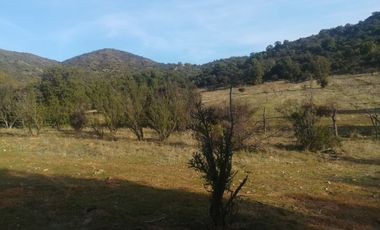 PREDIO 43 HAS EN COLLIGUAY CON CASA