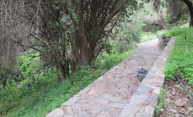 HERMOSA PARCELA CON CASA Y ABUNDANTE VEGETACIÓN NATIVA