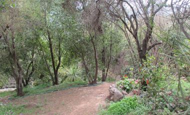 HERMOSA PARCELA CON CASA Y ABUNDANTE VEGETACIÓN NATIVA
