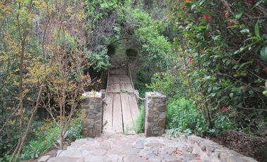 HERMOSA PARCELA CON CASA Y ABUNDANTE VEGETACIÓN NATIVA