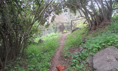 HERMOSA PARCELA CON CASA Y ABUNDANTE VEGETACIÓN NATIVA