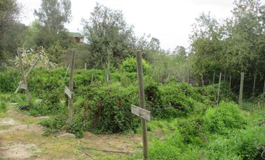 HERMOSA PARCELA CON CASA Y ABUNDANTE VEGETACIÓN NATIVA