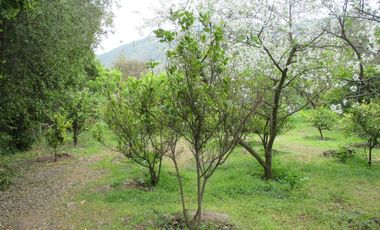 HERMOSA PARCELA CON CASA Y ABUNDANTE VEGETACIÓN NATIVA