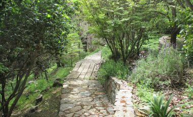 HERMOSA PARCELA CON CASA Y ABUNDANTE VEGETACIÓN NATIVA