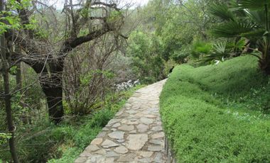 HERMOSA PARCELA CON CASA Y ABUNDANTE VEGETACIÓN NATIVA